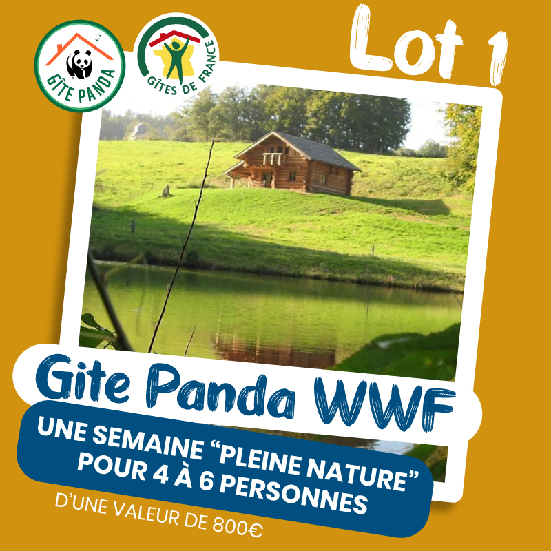 Cybèle Evasion Quiz - Lot 1